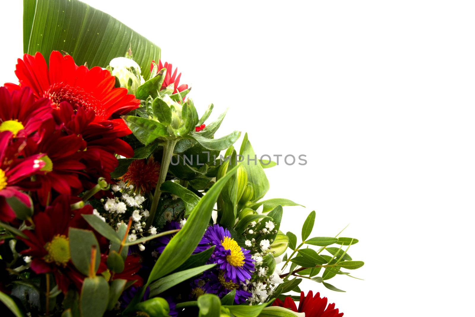 flower bouquet with space for text