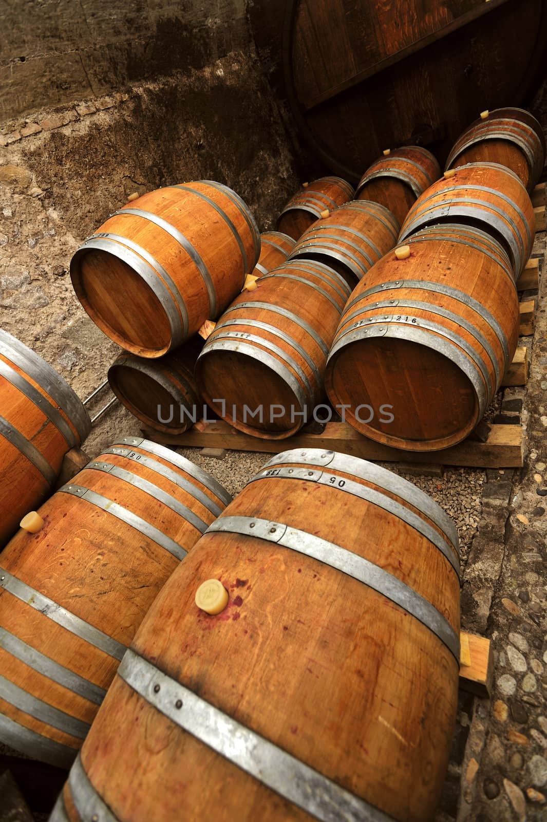 Traditional oaken barrels of fermenting wine in a Swiss wine-producer's cellar (cave). The Swiss do produce wine, lots of it. It's little known because they drink most of it themselves. Less than 2% is exported. Space for text in dark area at top.
