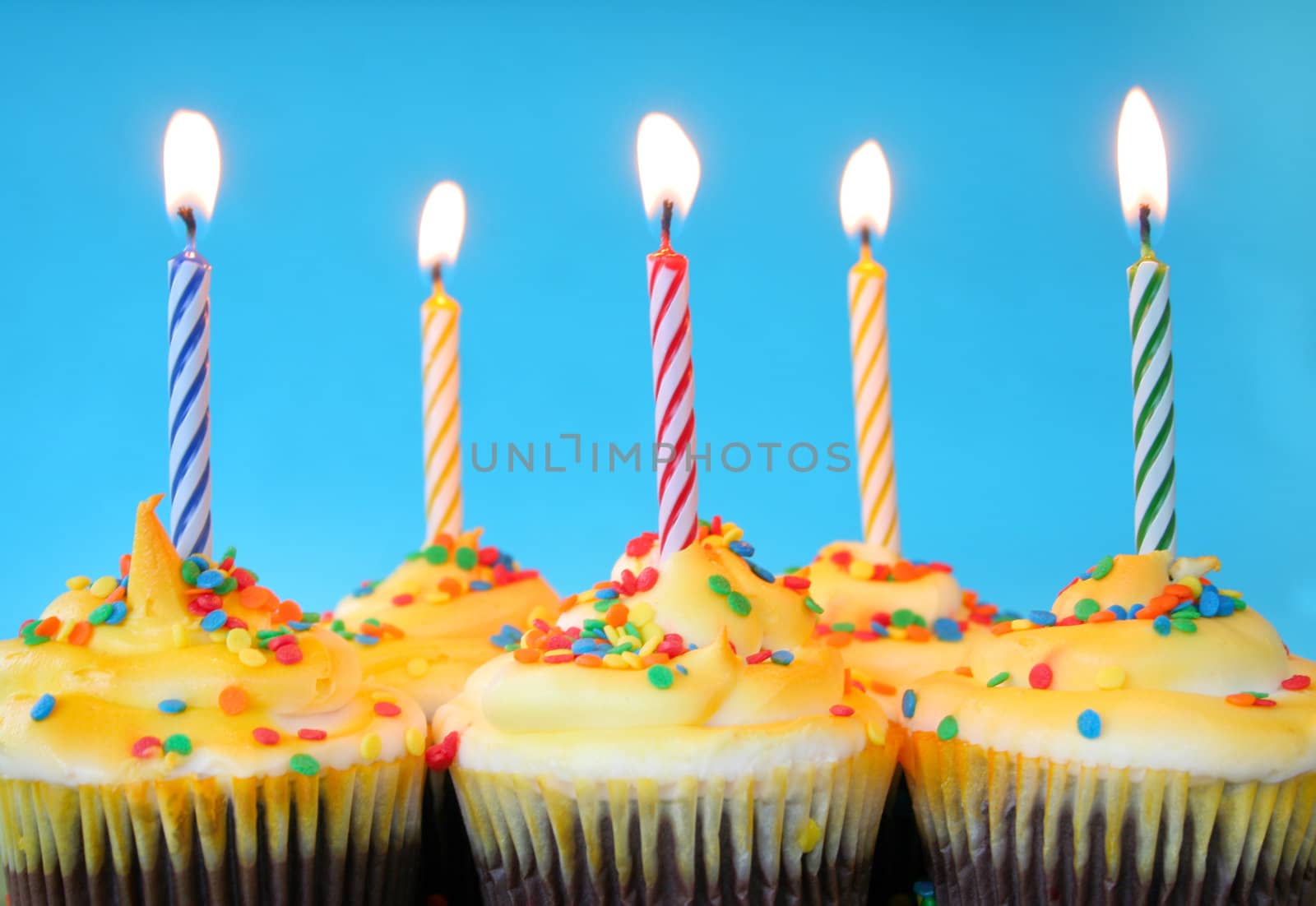 A group of cupcakes with burning candles on a blue background.