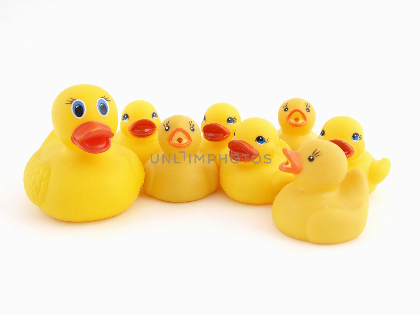 A Yellow Rubber Duck mother and her chicks isolated on a white background