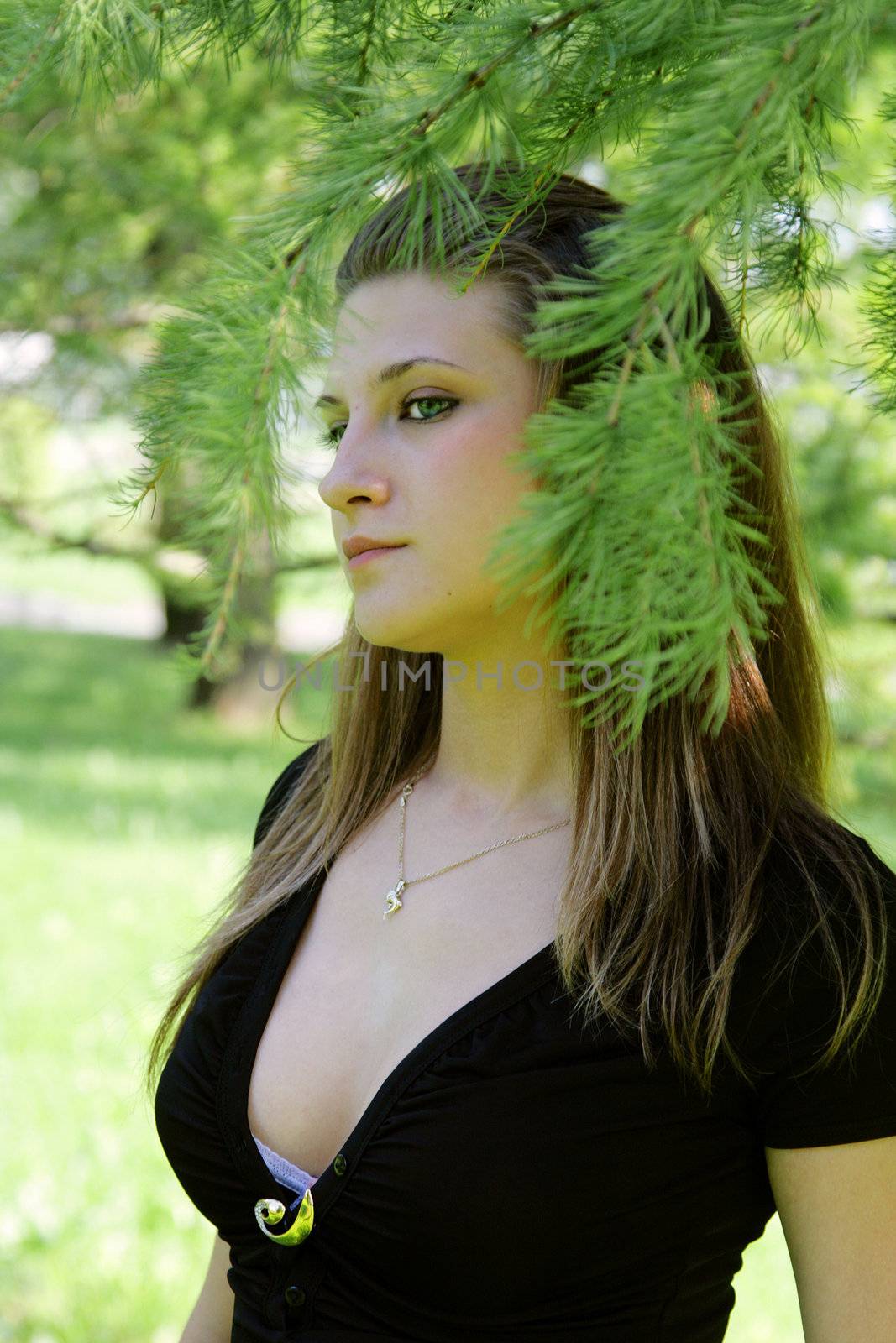 The beautiful girl among coniferous branches