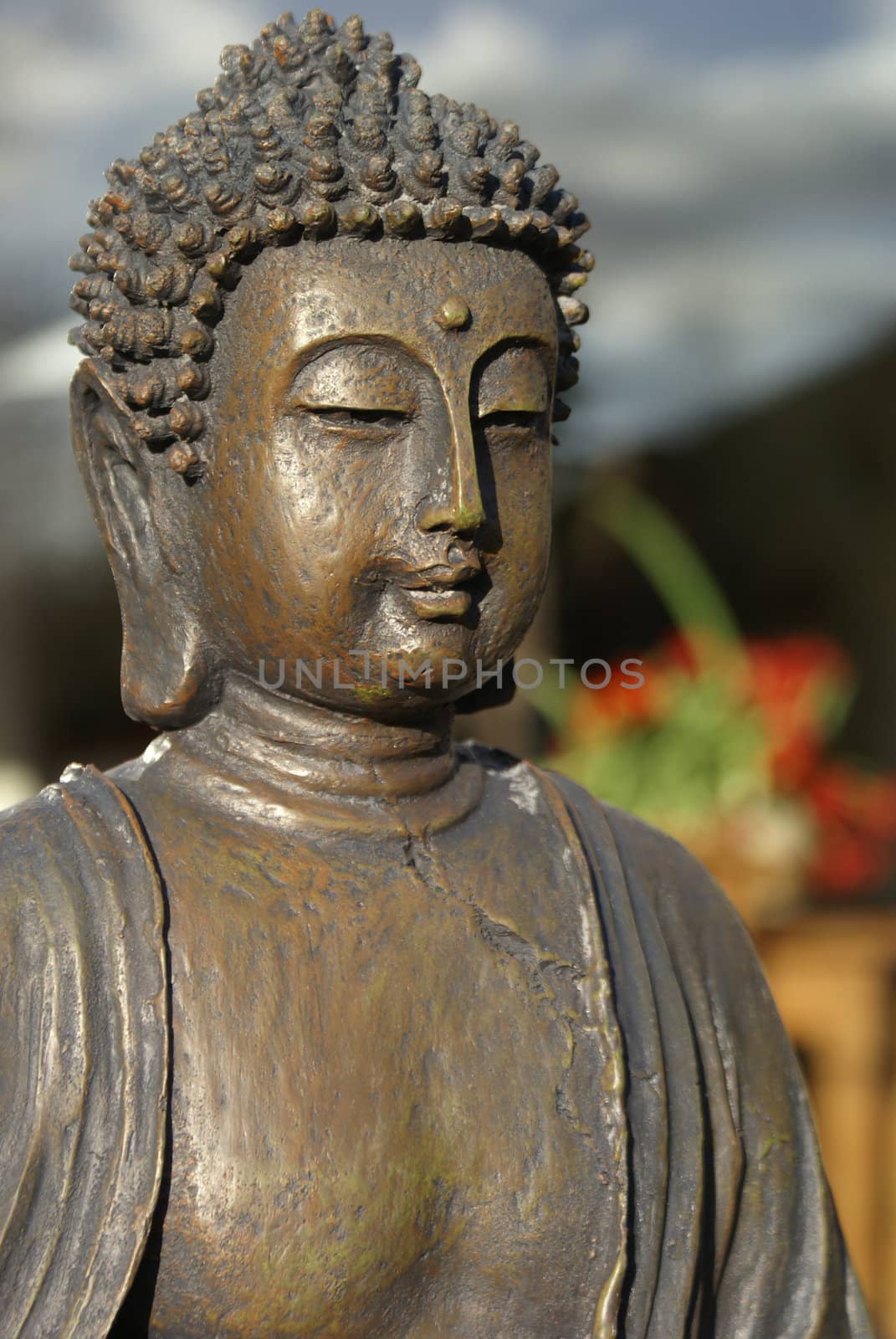 Bronze buddha in front of a vague background.             