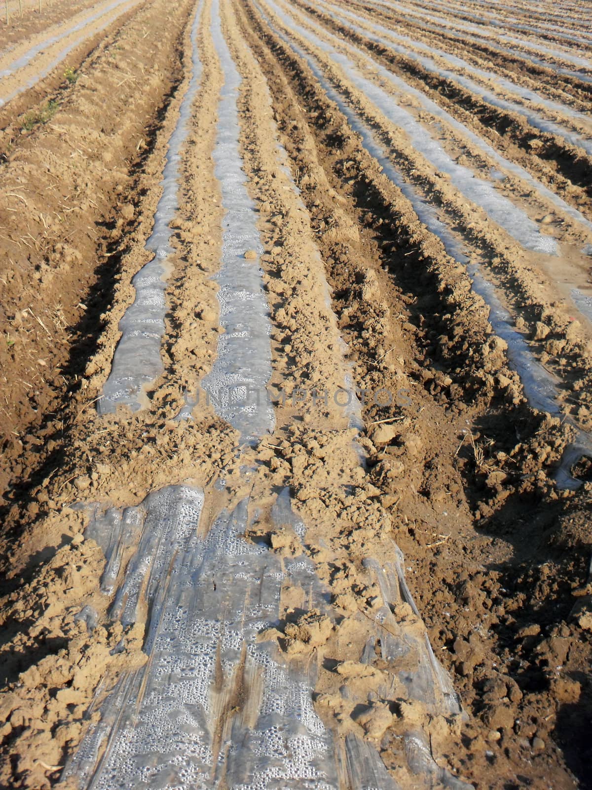 coating technology in agriculture