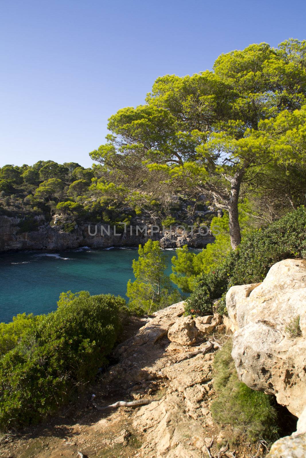 View in Cala pi Mallorca by ladyminnie