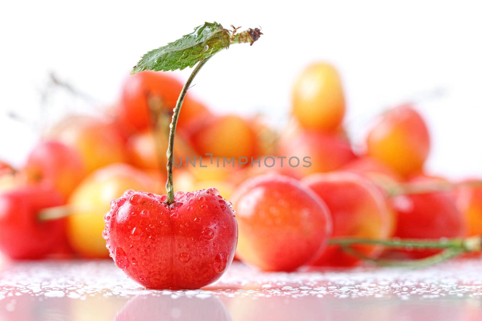 Sweet cherries with droplets isolated on white by Sandralise