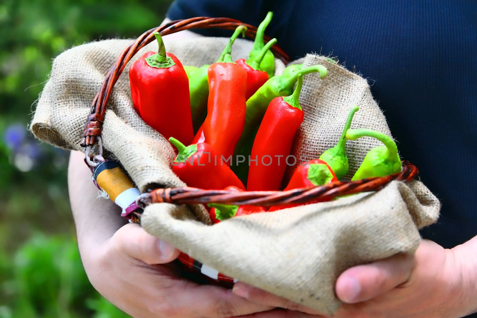 Man holding a basket full of red and green peperoni, enhanced