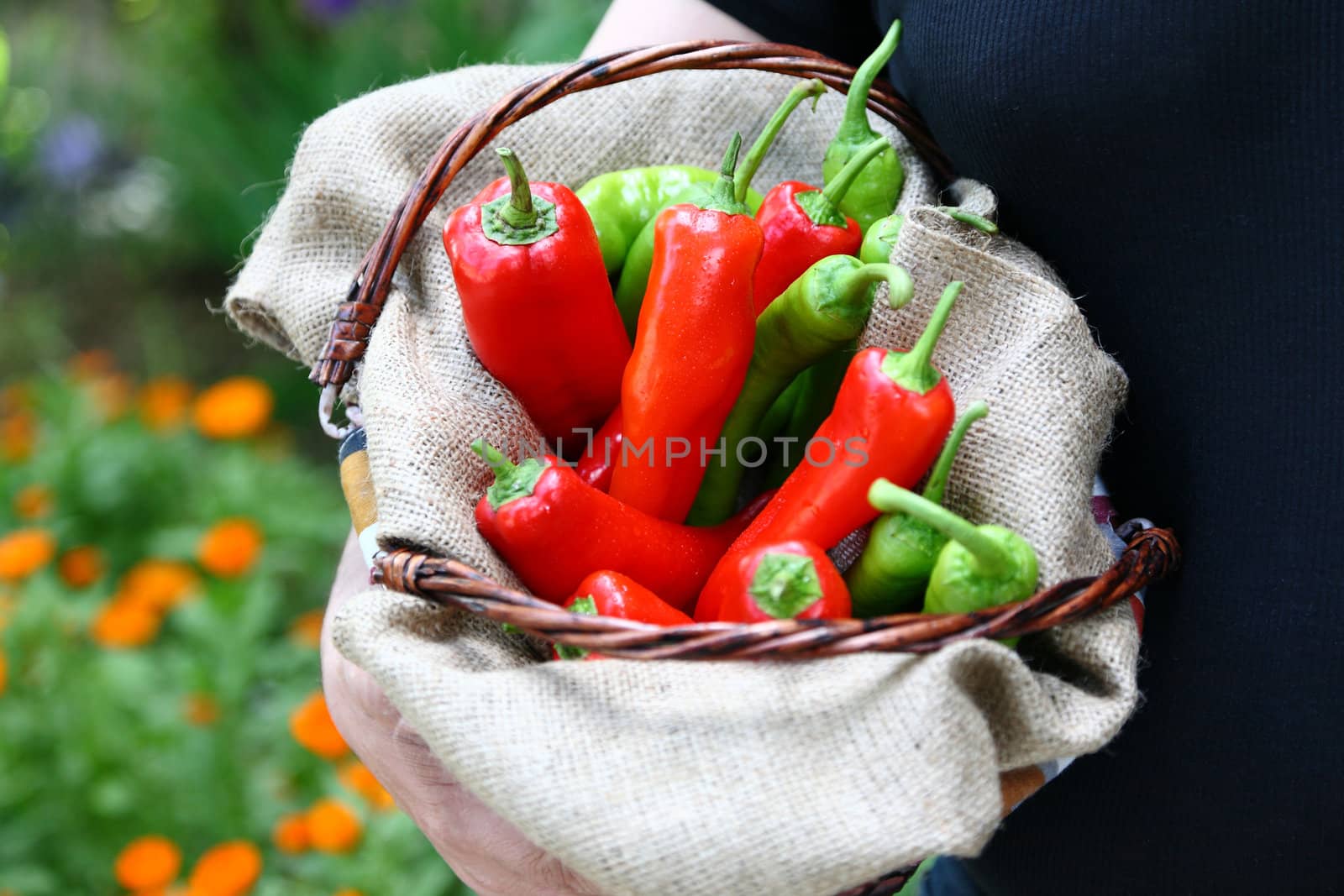 Man holding a basket with red and green peperoni