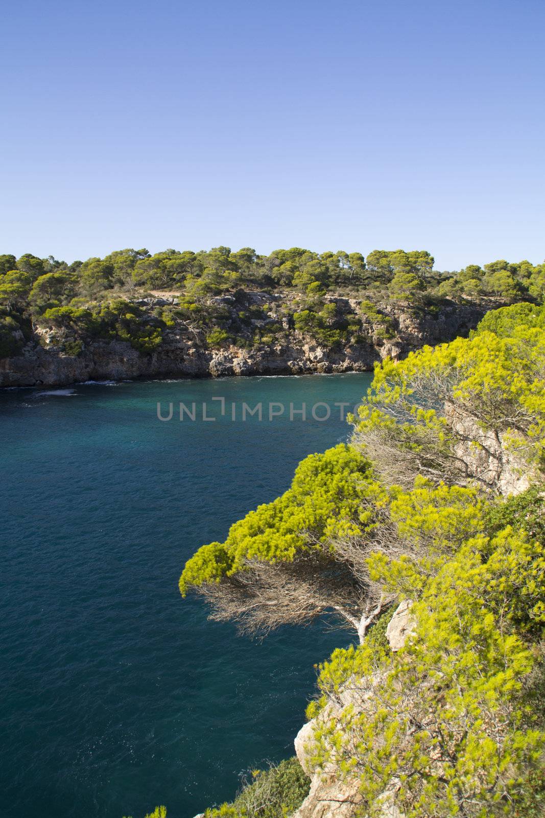 View in Cala pi Mallorca by ladyminnie