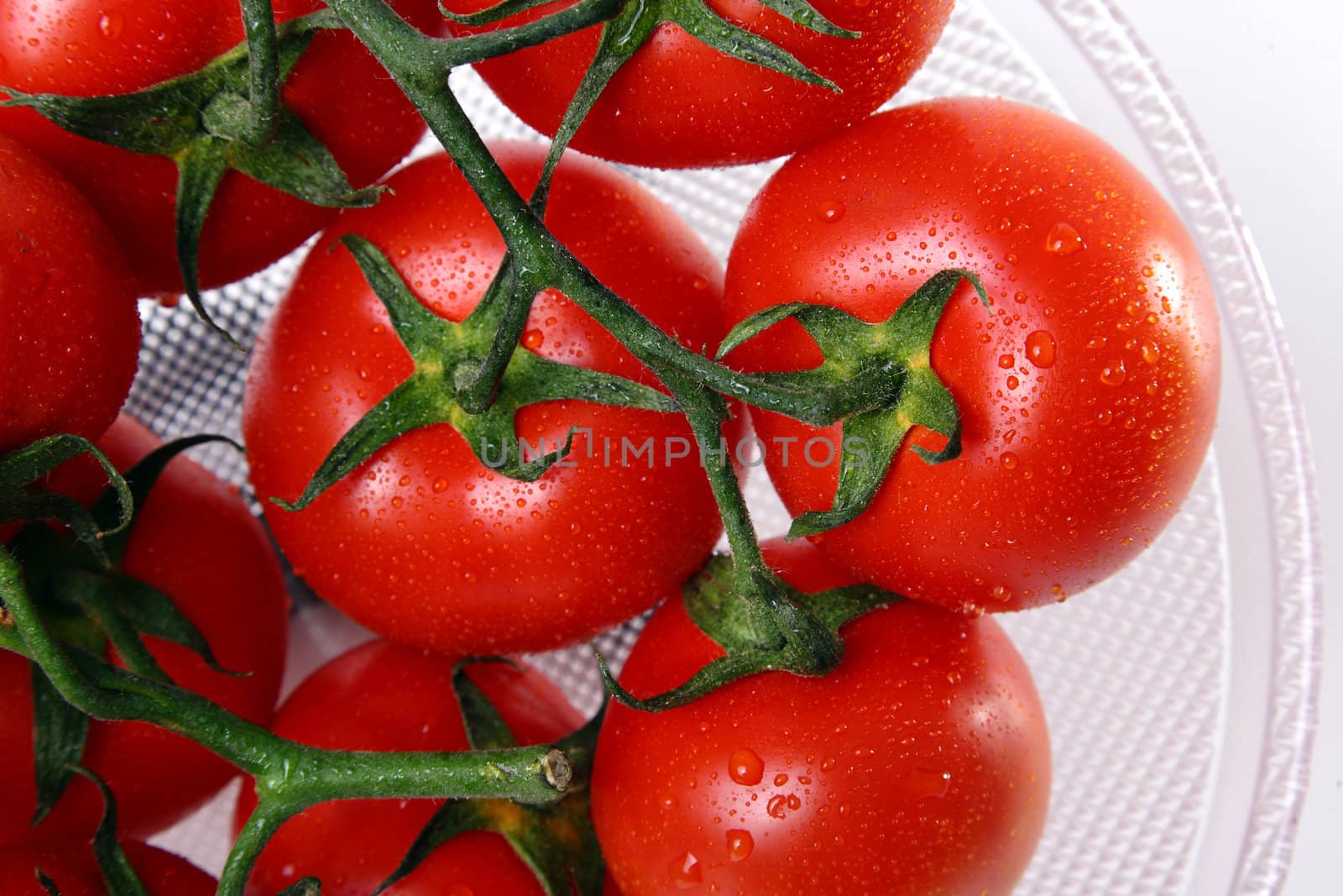 Close up of red tomatoes with water drops over