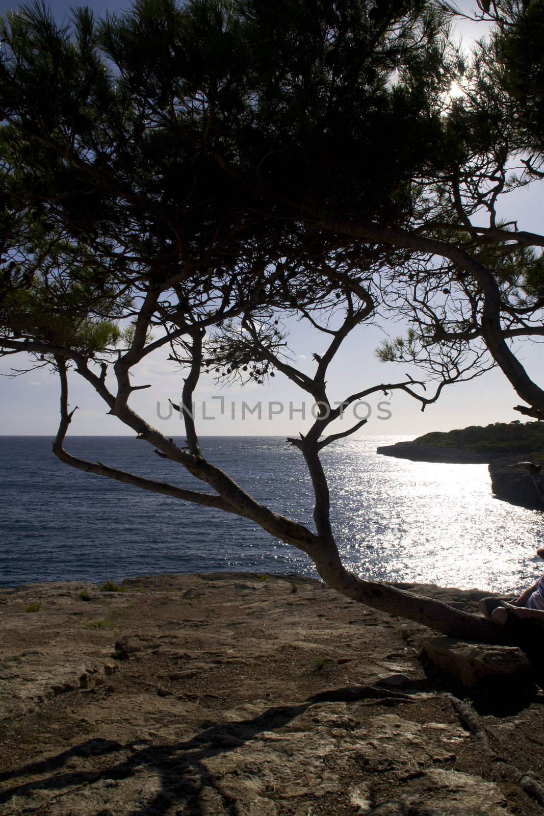 View in Cala pi Mallorca by ladyminnie