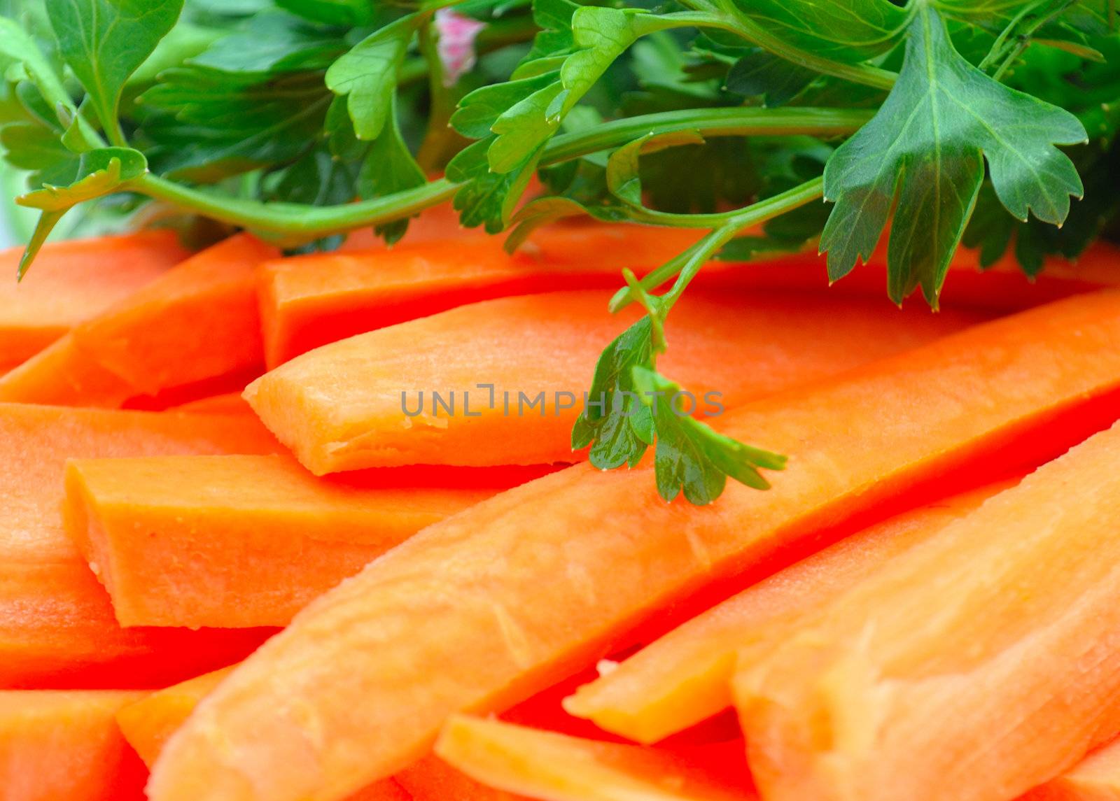 parsley, carrot and fennel, the ingredients for the salad