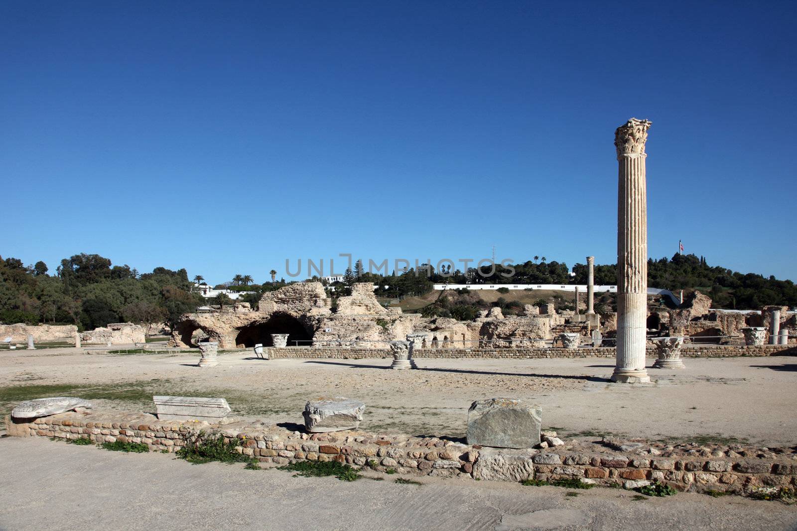 Tunisia. Ancient Carthage. The Antonine Baths by atlas