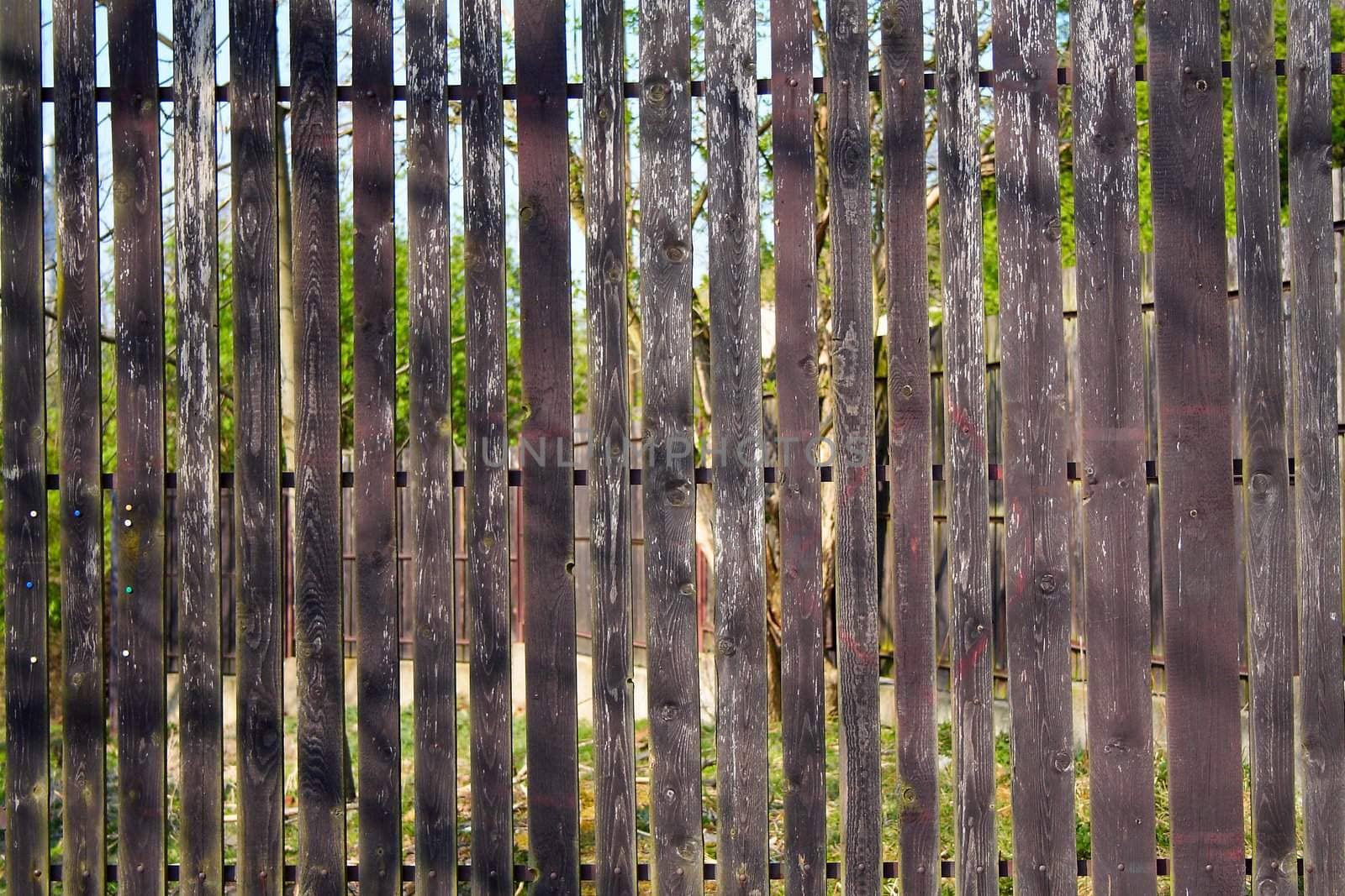 fence of wood in the village. Grey and old