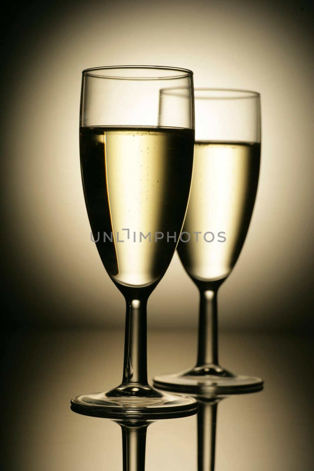 sparkling champagne wine glasses shot in studio