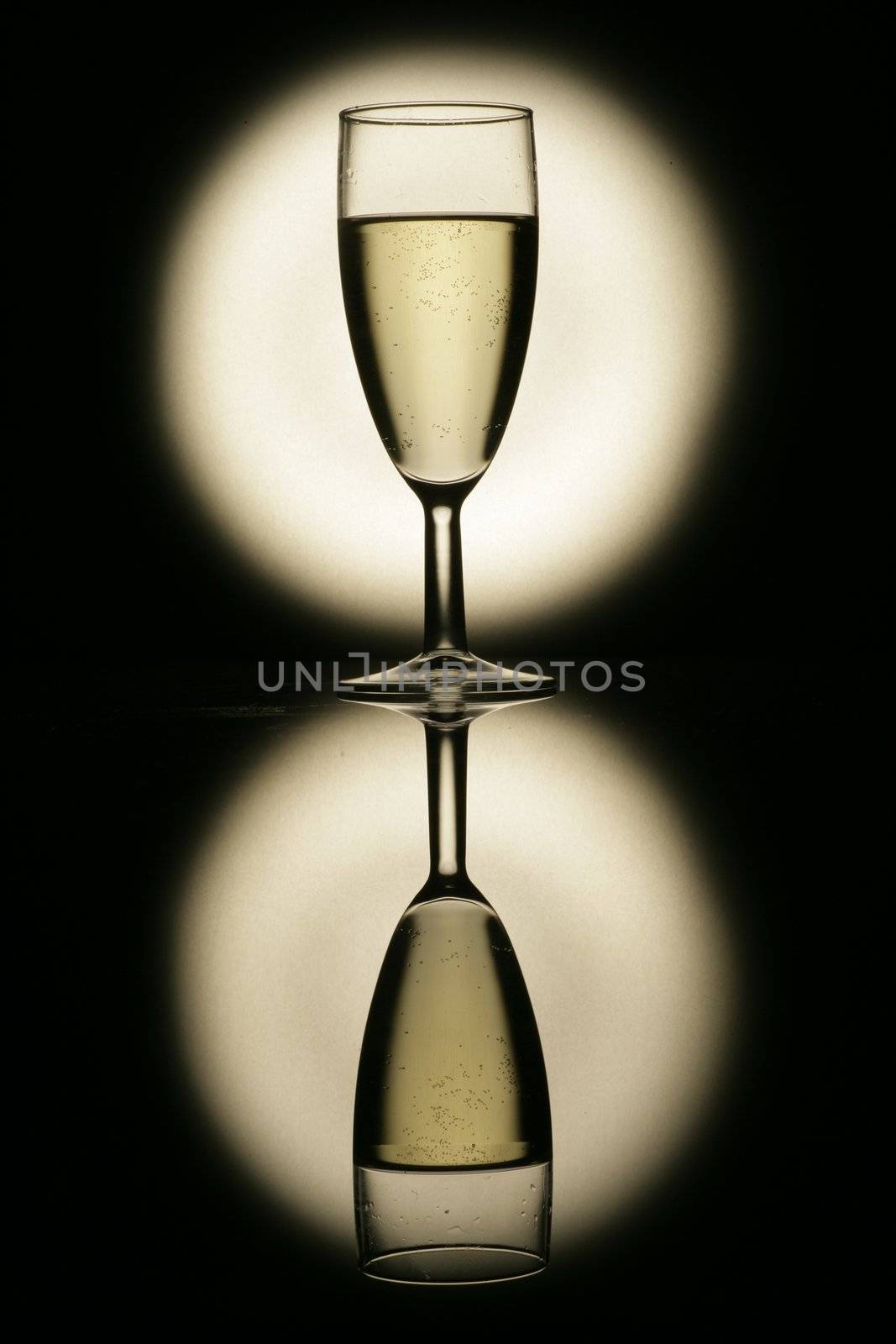 sparkling champagne wine glasses shot in studio