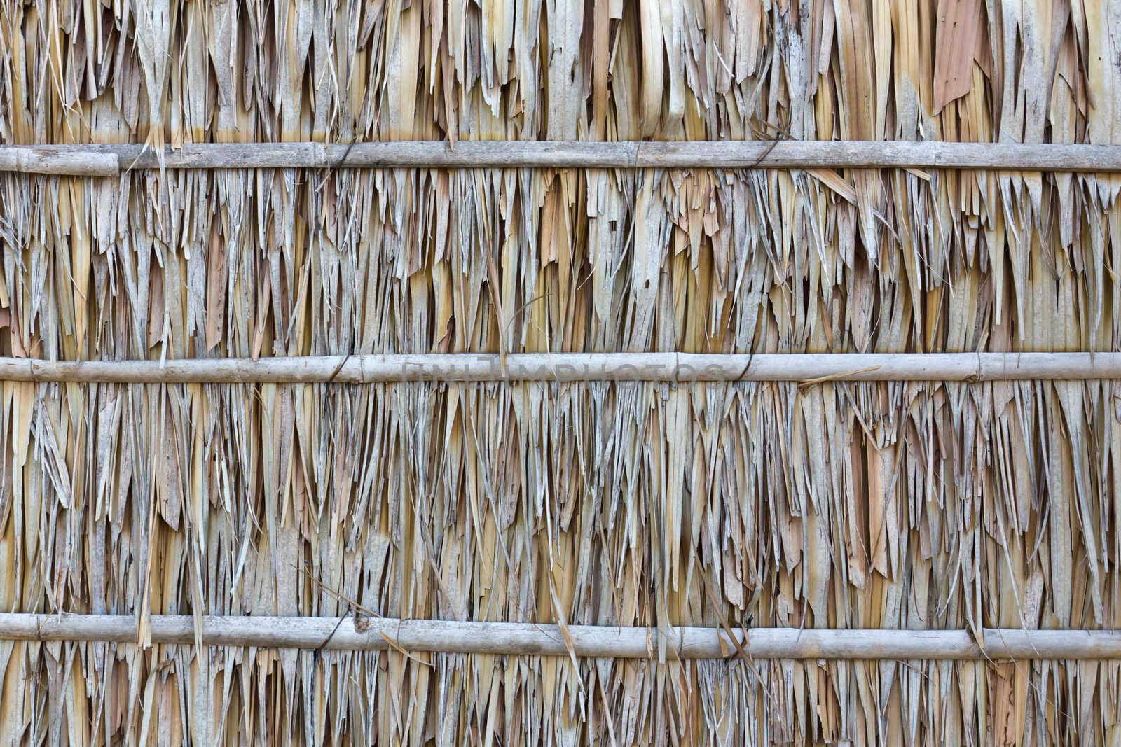 Palm leaf wall texture is natural wall