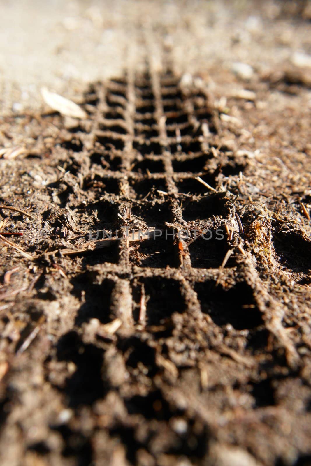 Close-up of a mountainbike track