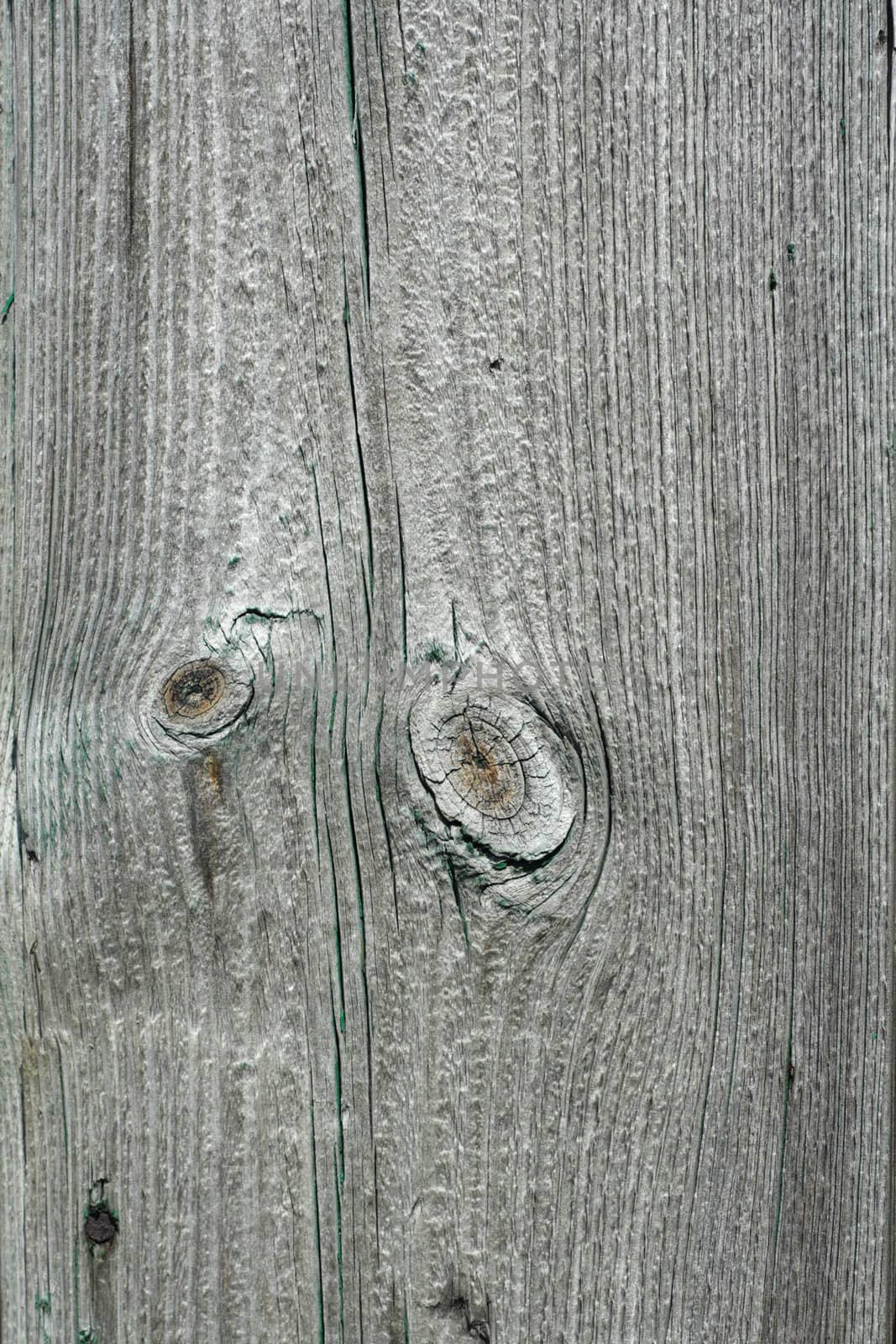 Wood texture background colored photo old planks