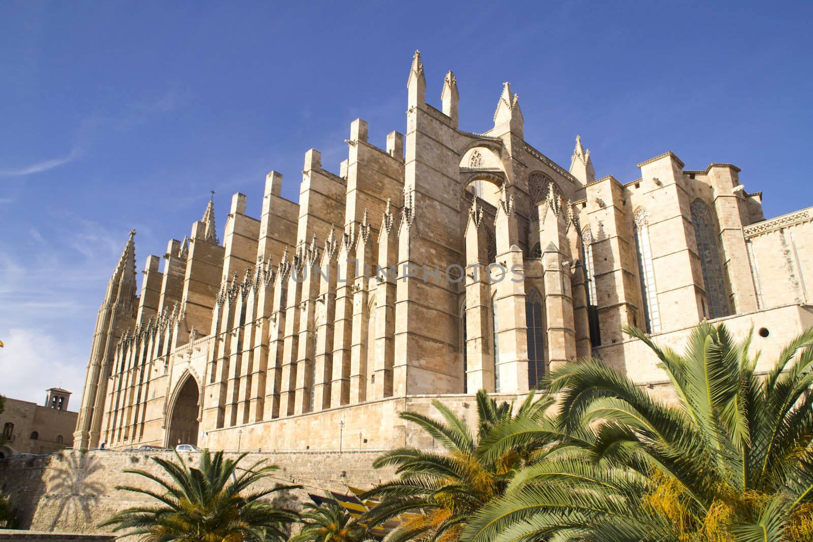 cathedral in La Palma, Mallorca by ladyminnie