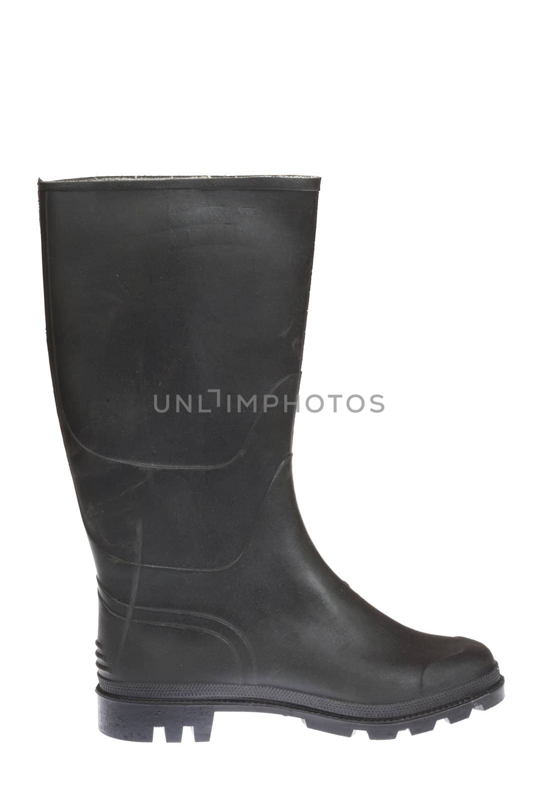 gum boot, photo on the white background