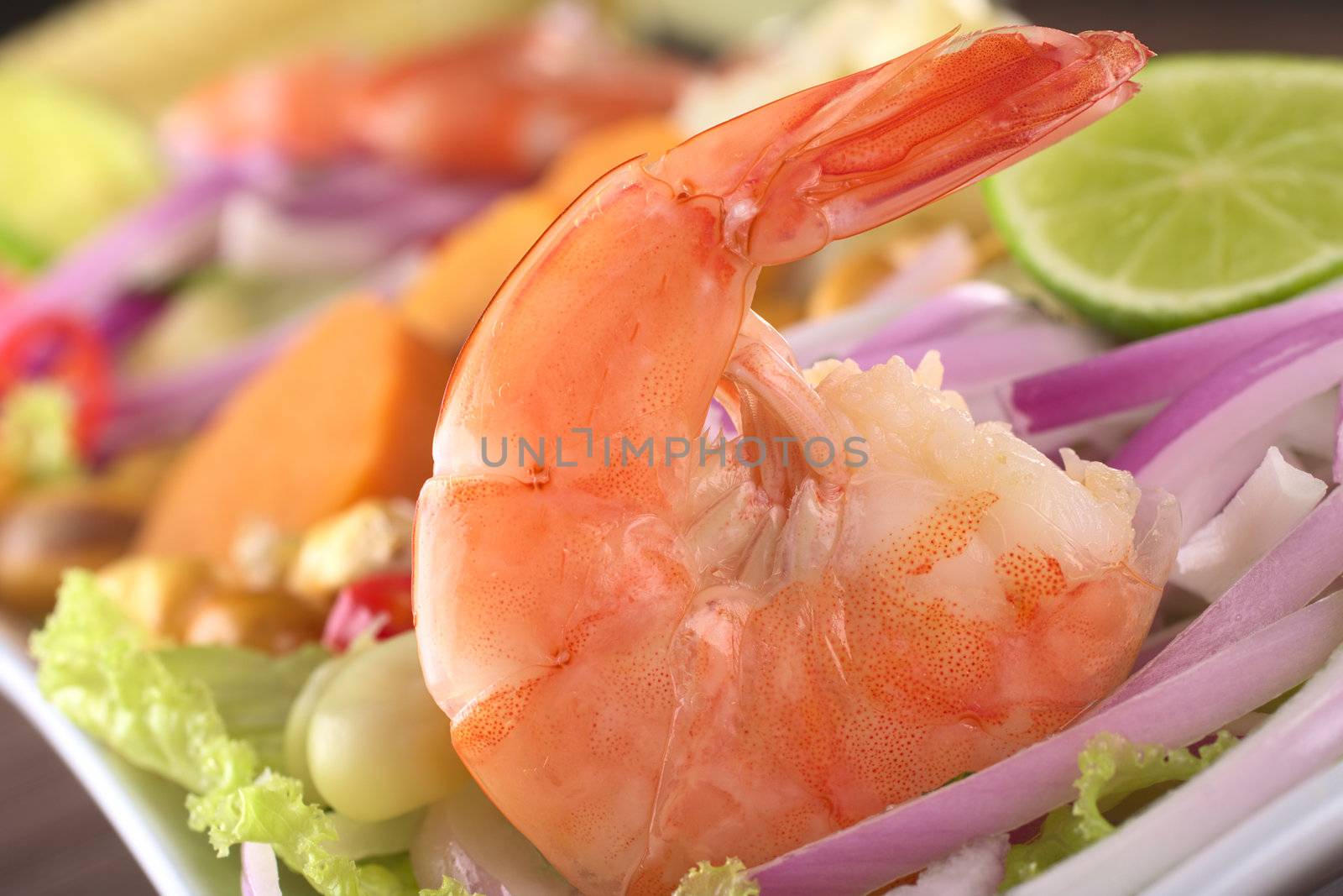 Peruvian Prawn Ceviche: King prawn on red onions and lettuce with corn grains, lime slices and sweet potato in the back (Selective Focus, Focus on the prawn)  