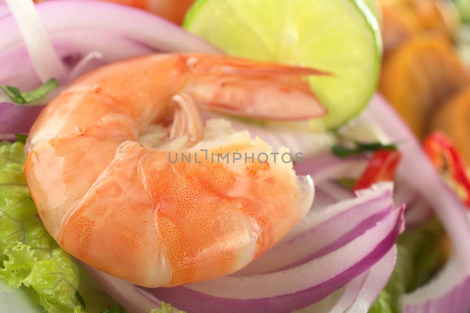 Peruvian Prawn Ceviche: King prawn on red onions and lettuce with lime slice and sweet potato in the back (Selective Focus, Focus on the front of the prawn)  