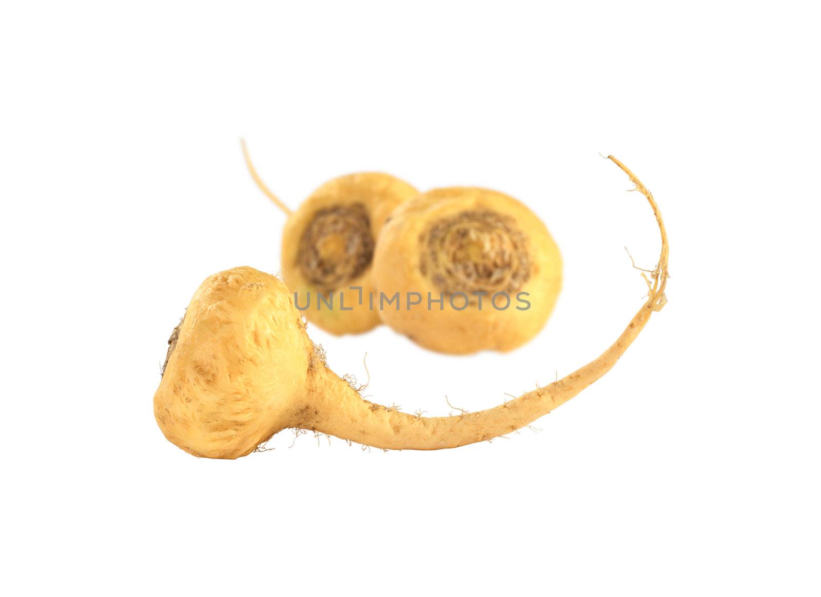 Peruvian Ginseng (Sp. Maca, lat. Lepidium meyenii) which is widely used in Peru for its various health effects and high nutritional value (Isolated) (Selective Focus, Focus on the root in the front)