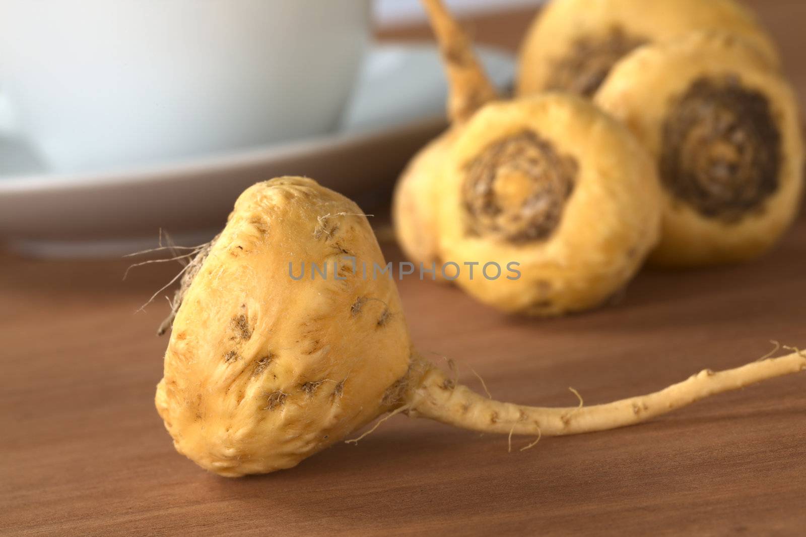 Peruvian Ginseng (Sp. Maca, lat. Lepidium meyenii) which is widely used in Peru for its various health effects and high nutritional value with a tea cup and saucer in the back on wood (Selective Focus, Focus on the front of the root)