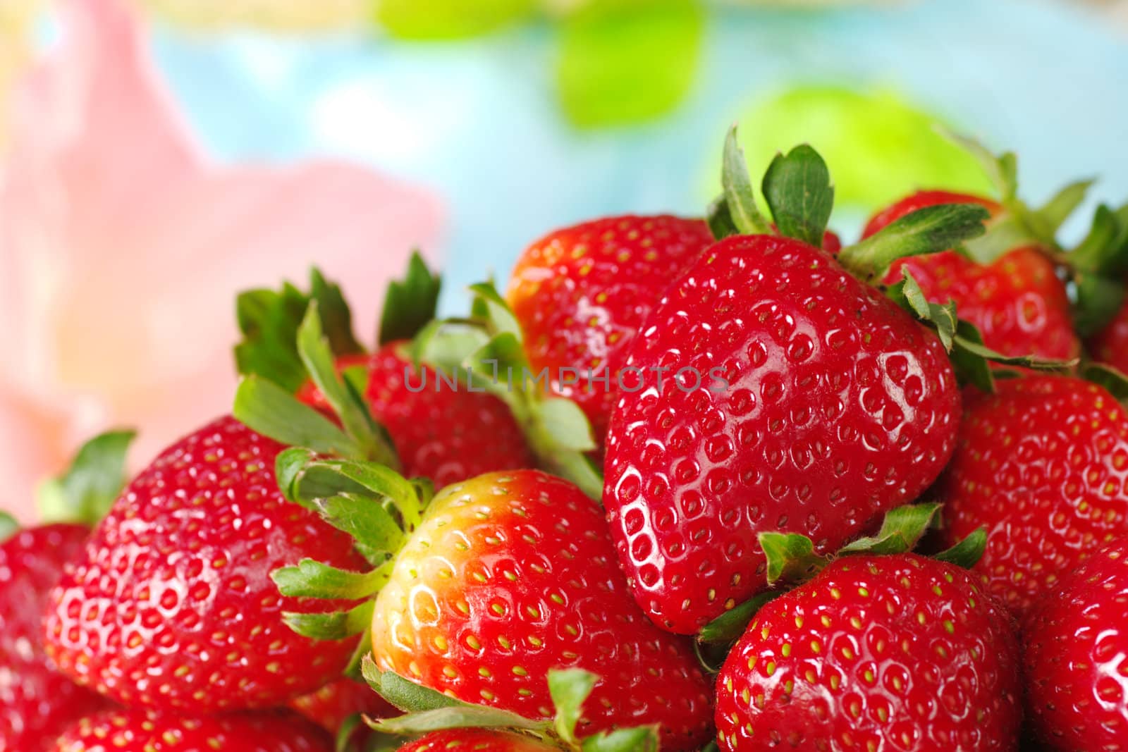 Close-up of fresh strawberries (Selective Focus, Focus on the strawberry on the right)