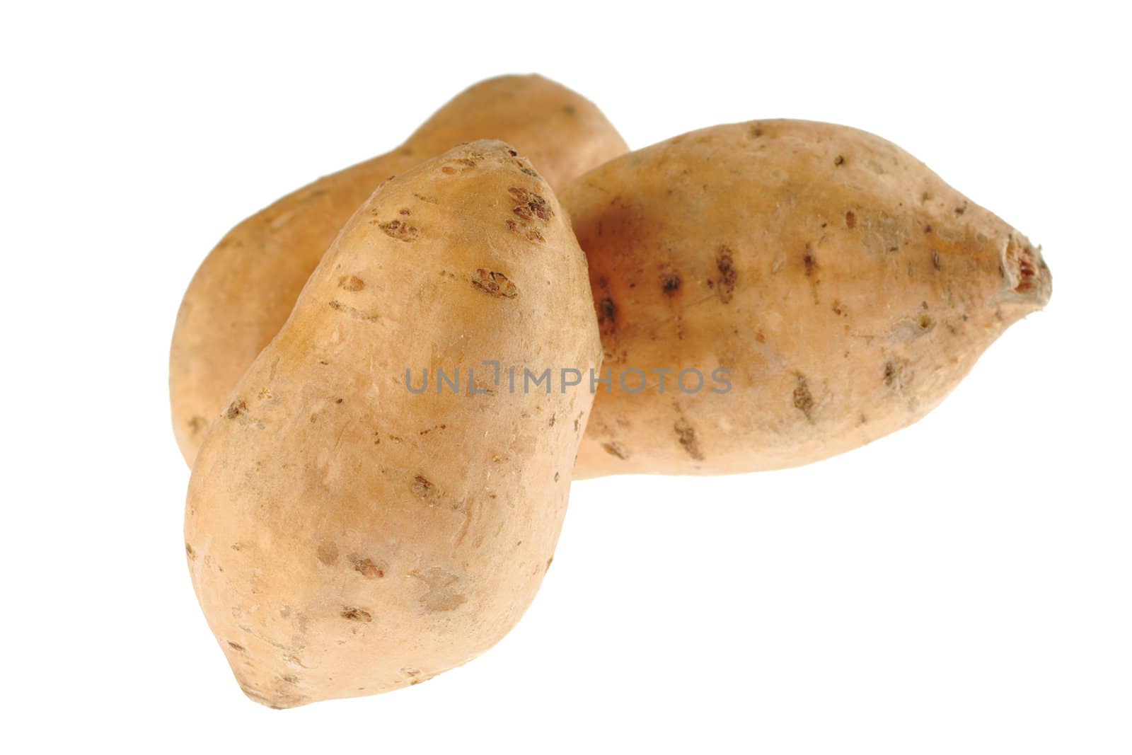 Sweet potatoes (lat. Ipomoea batatas) isolated on white (Selective Focus, Focus on the front sweet potato) 