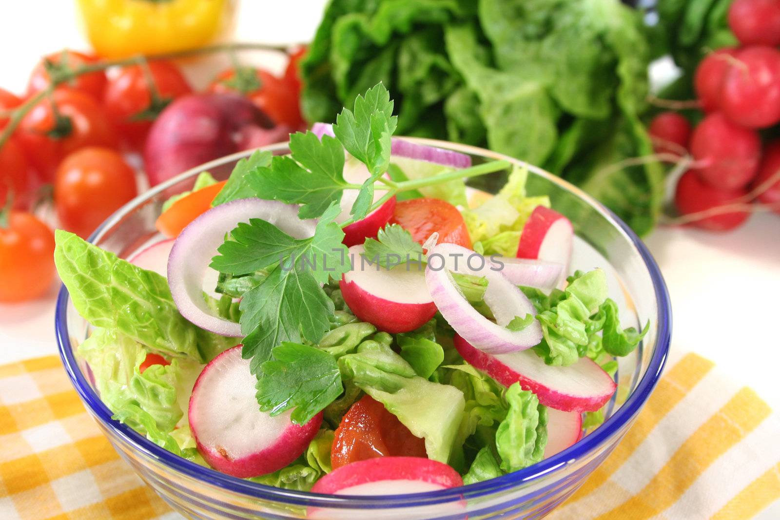 mixed salad with lettuce, radishes, tomatoes and parsley