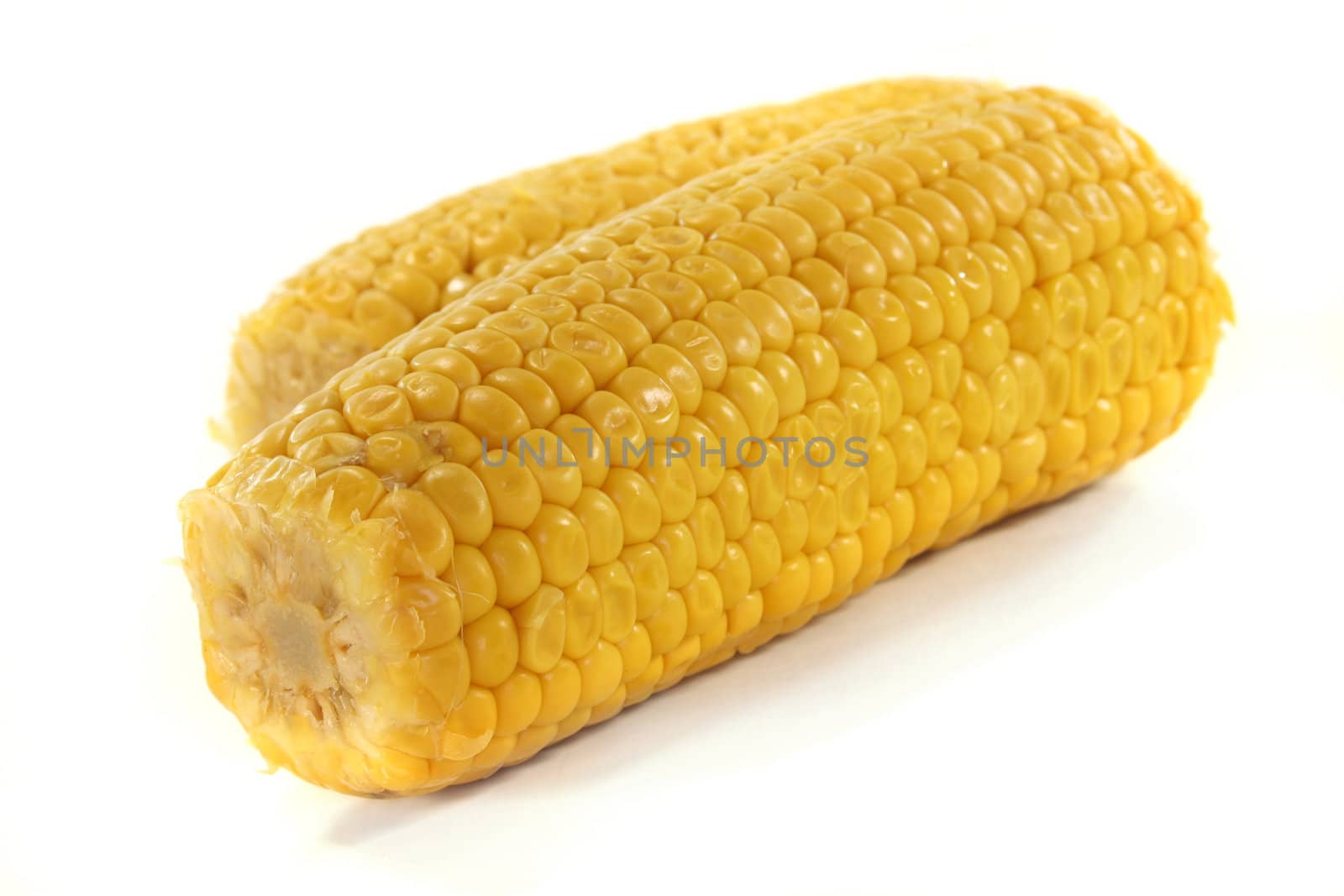 two yellow corn on a white background