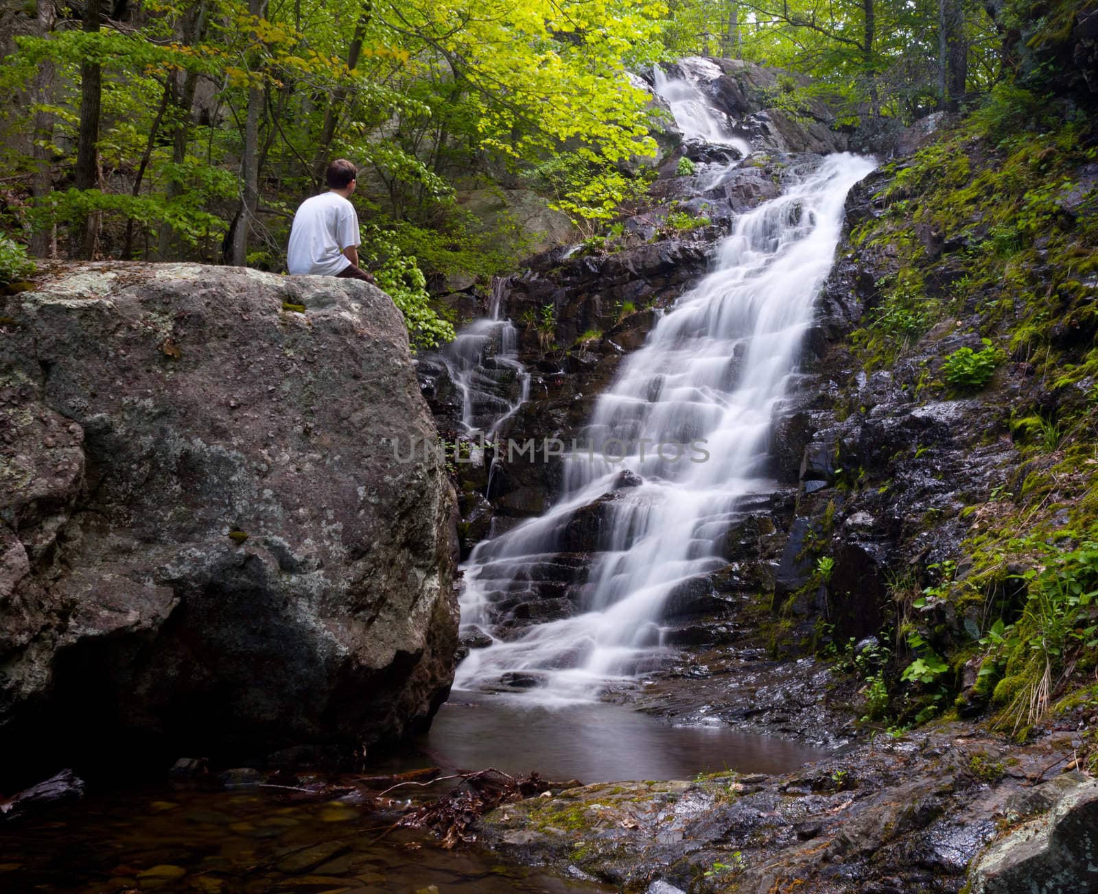 Man overlooks Overall Run waterfall by steheap