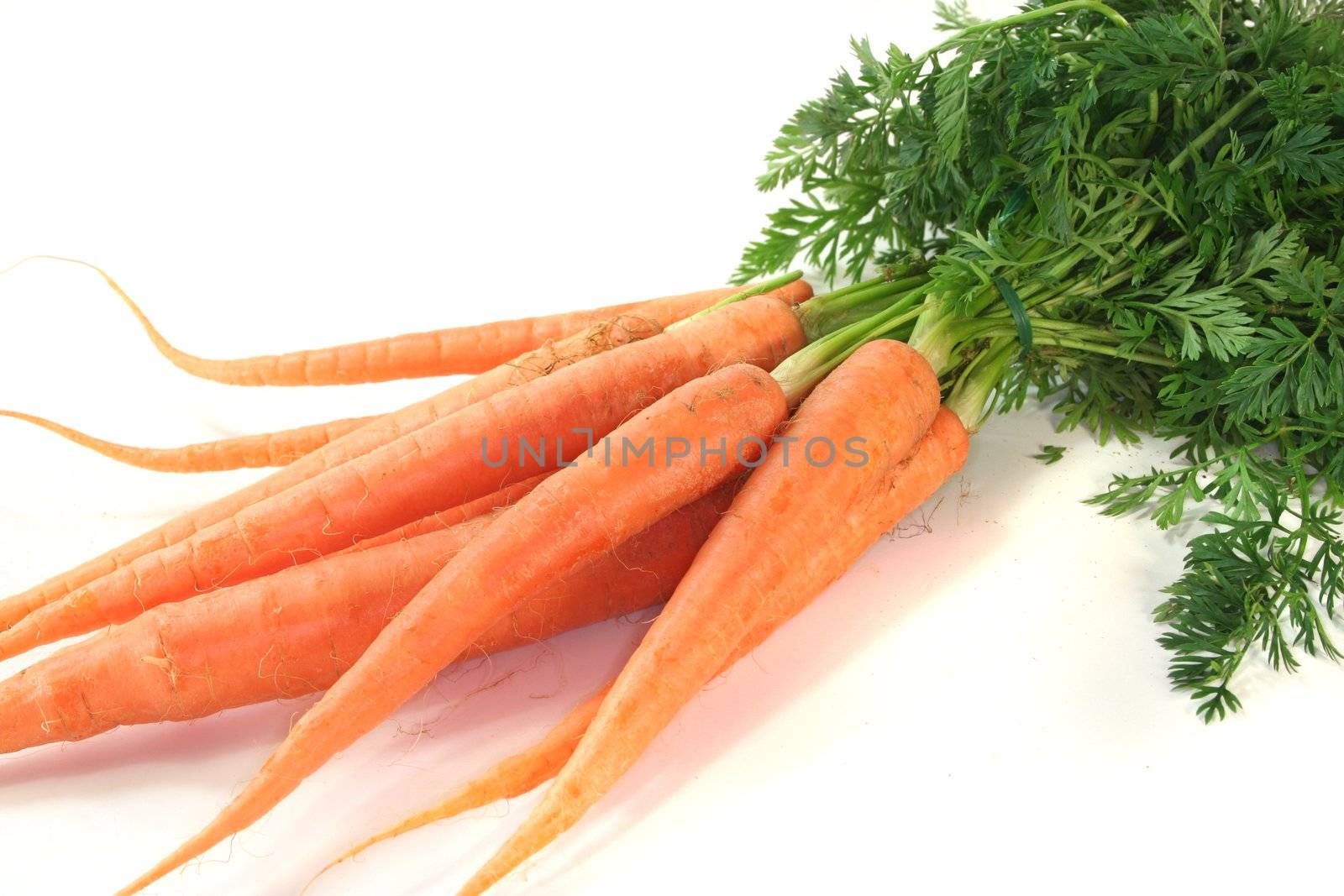 a bundle of carrots on a white background