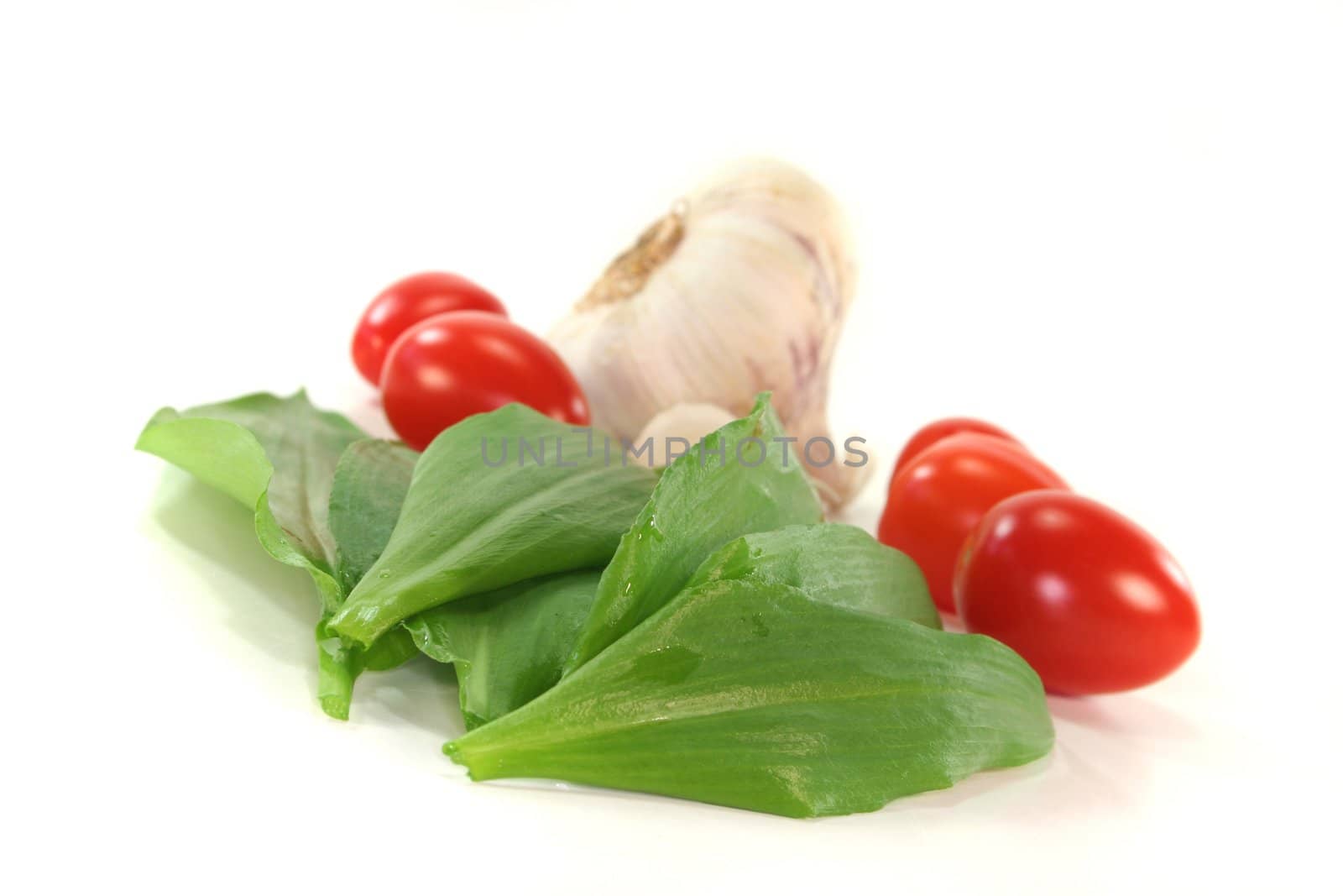 Wild garlic with tomatoes and garlic on a white background