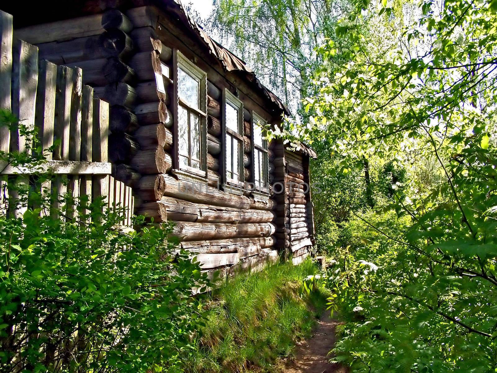 wooden rural house by basel101658