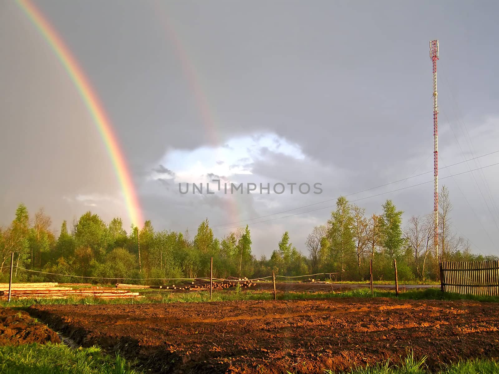 rainbow by basel101658