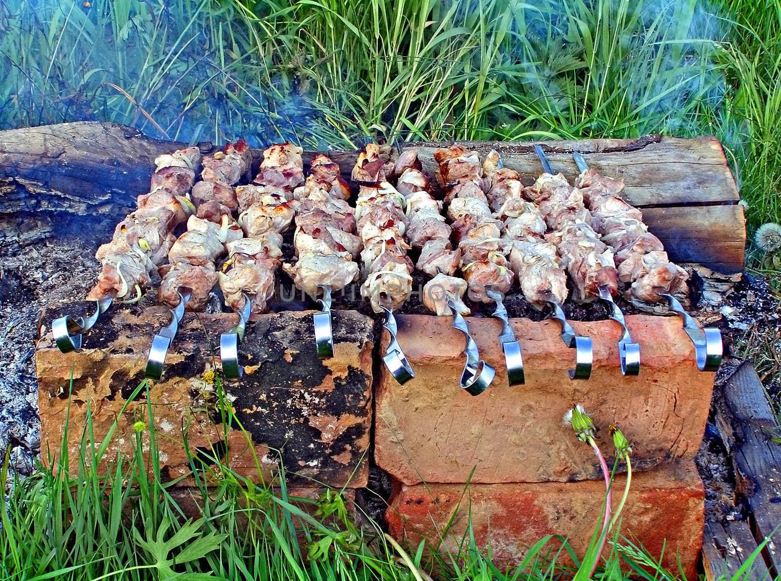 preparation of meat on campfires