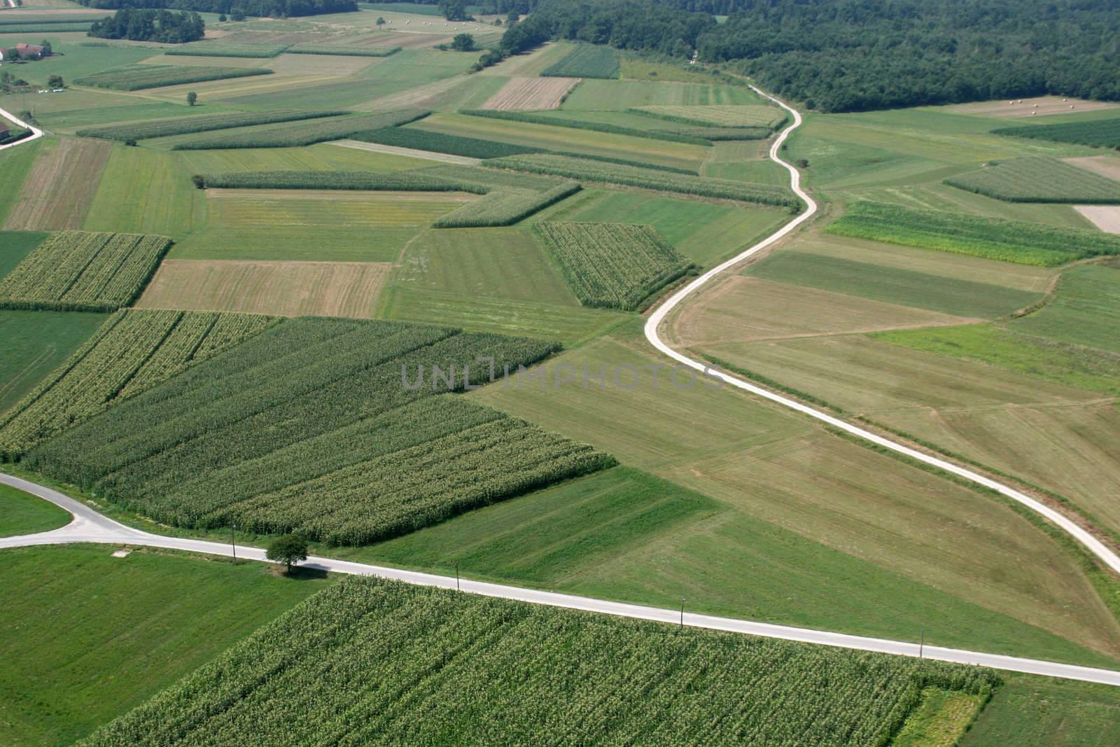 Meadows and fields. Aerial image