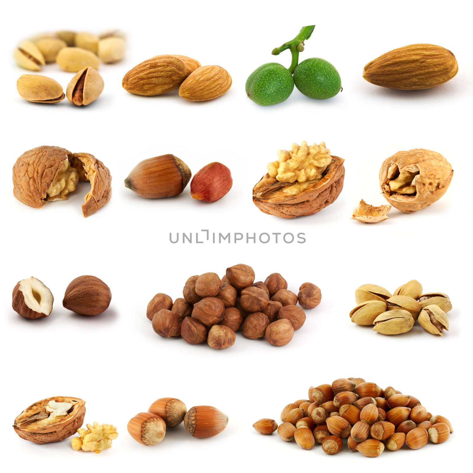 Collection of nuts