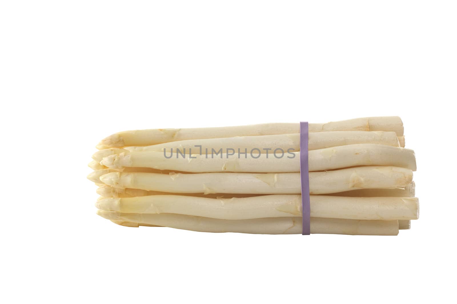 Raw white asparagus bunch held together by an elastic band photographed on white 