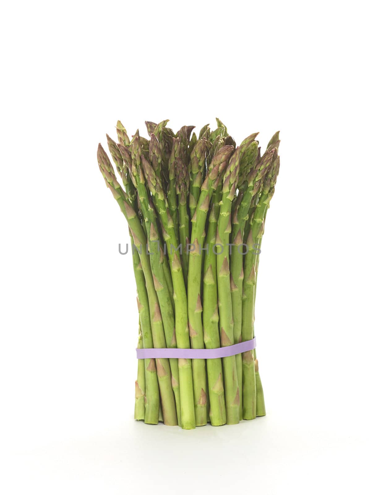 Raw green asparagus bunch held together by an elastic band standing on white 