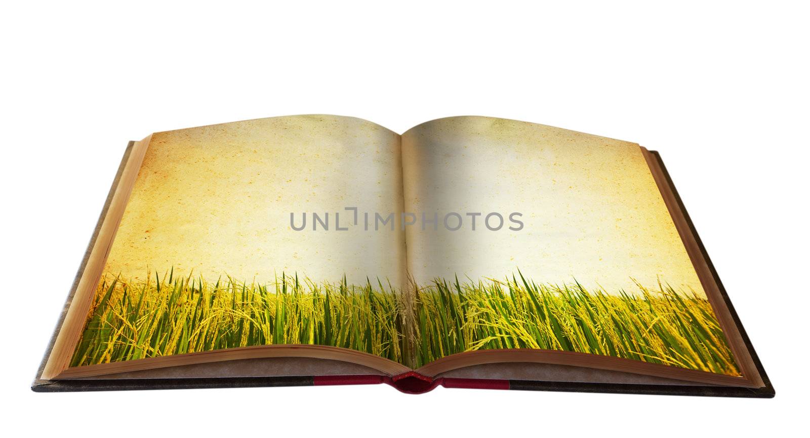 Magic book with Landscape view for your education meterial by Suriyaphoto