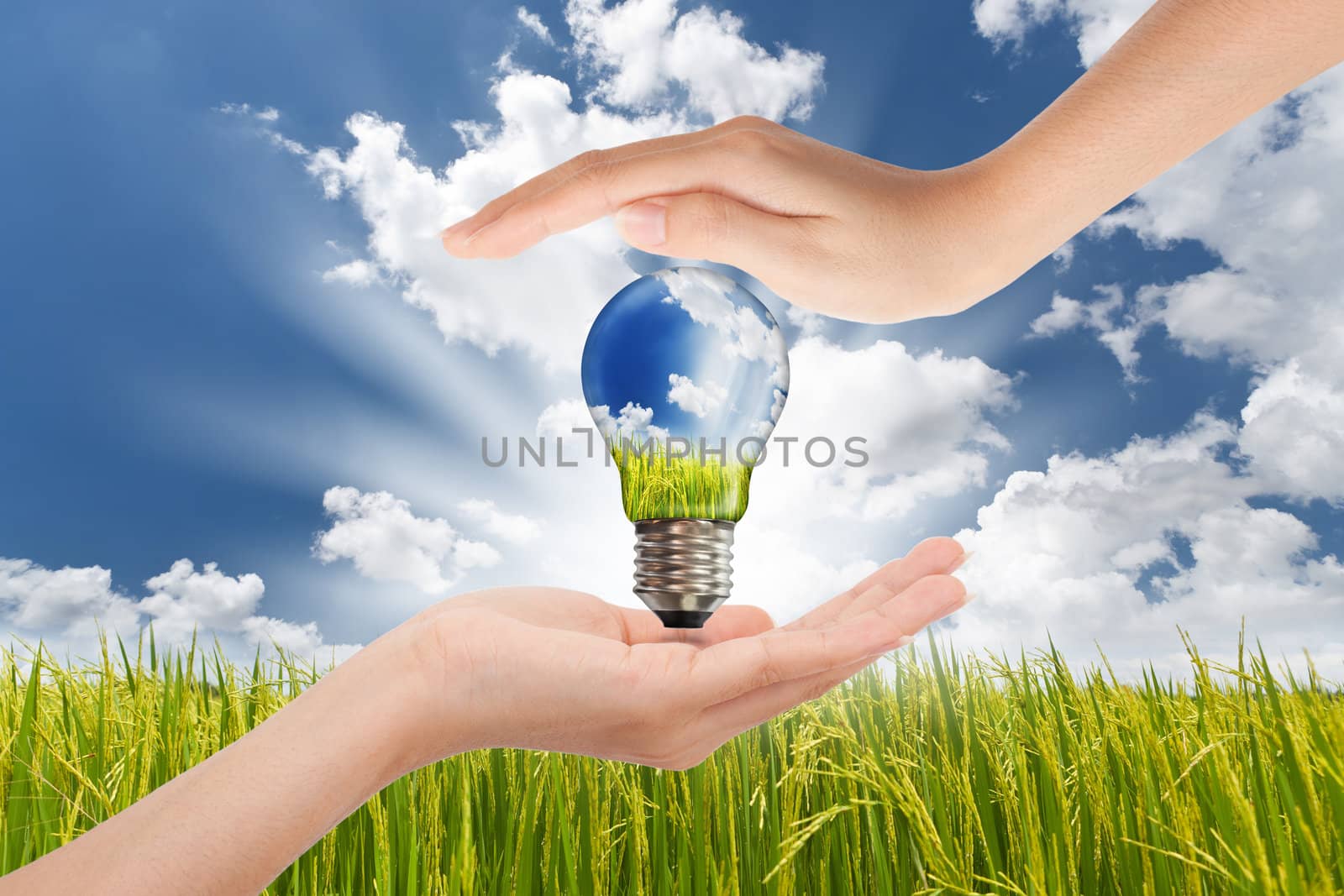 Hands saving , Global Concept of Green Energy Solutions With Lig by Suriyaphoto