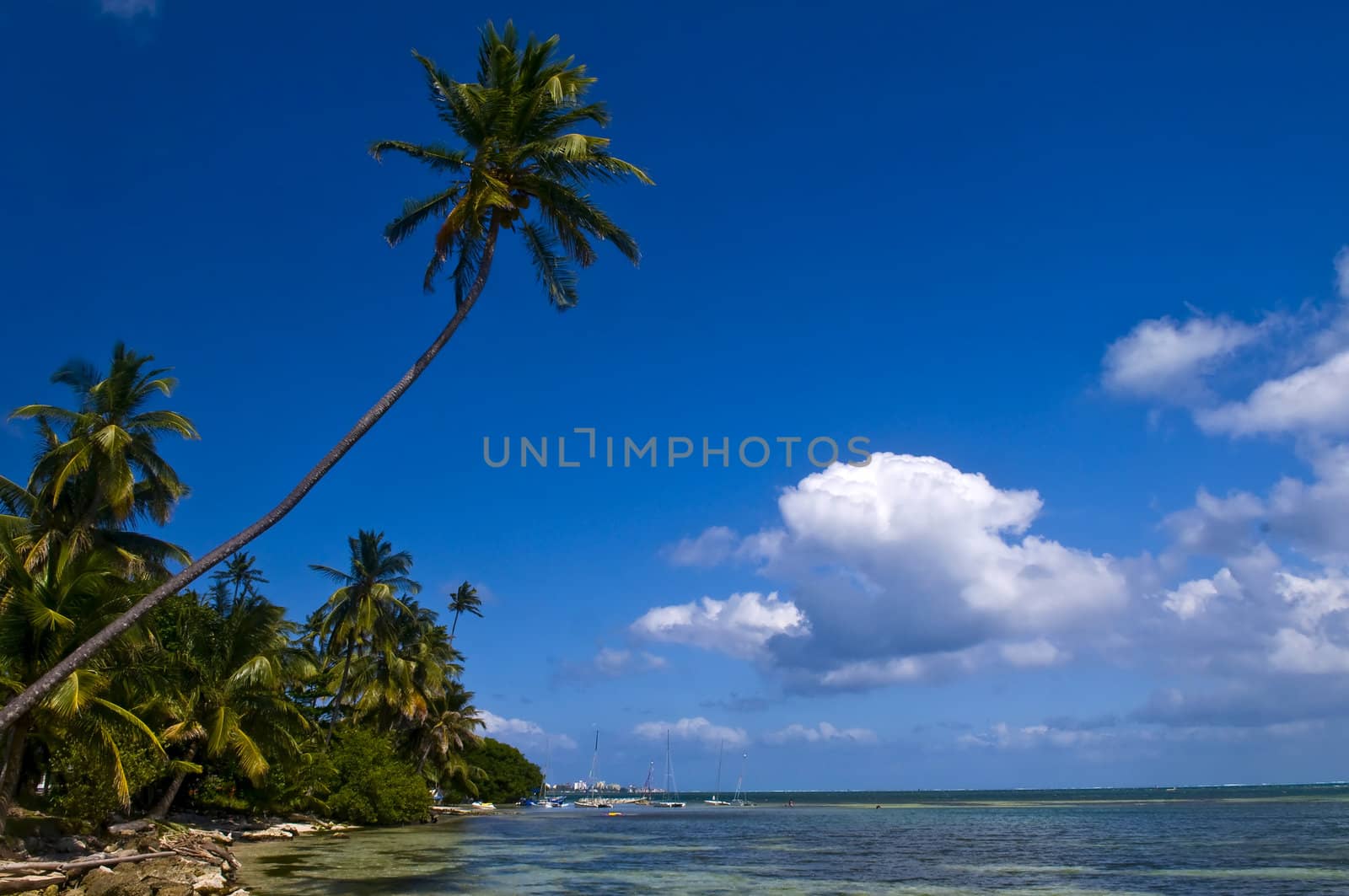 San Andres Island , Colombia by kobby_dagan