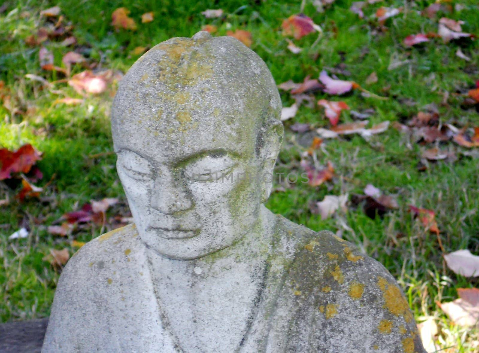 Mossy Buddha by xplorer1959@hotmail.com