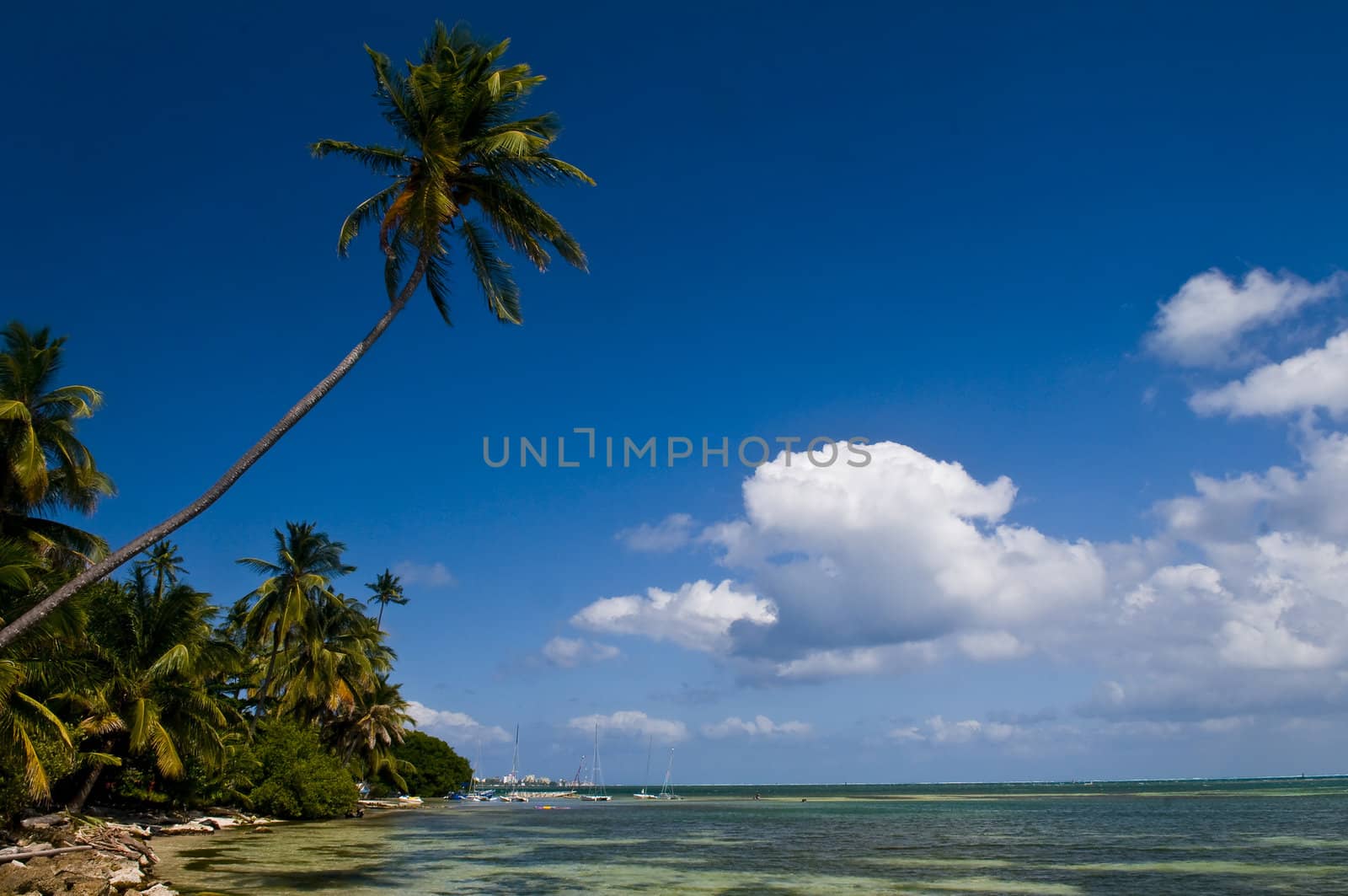 San Andres Island , Colombia by kobby_dagan