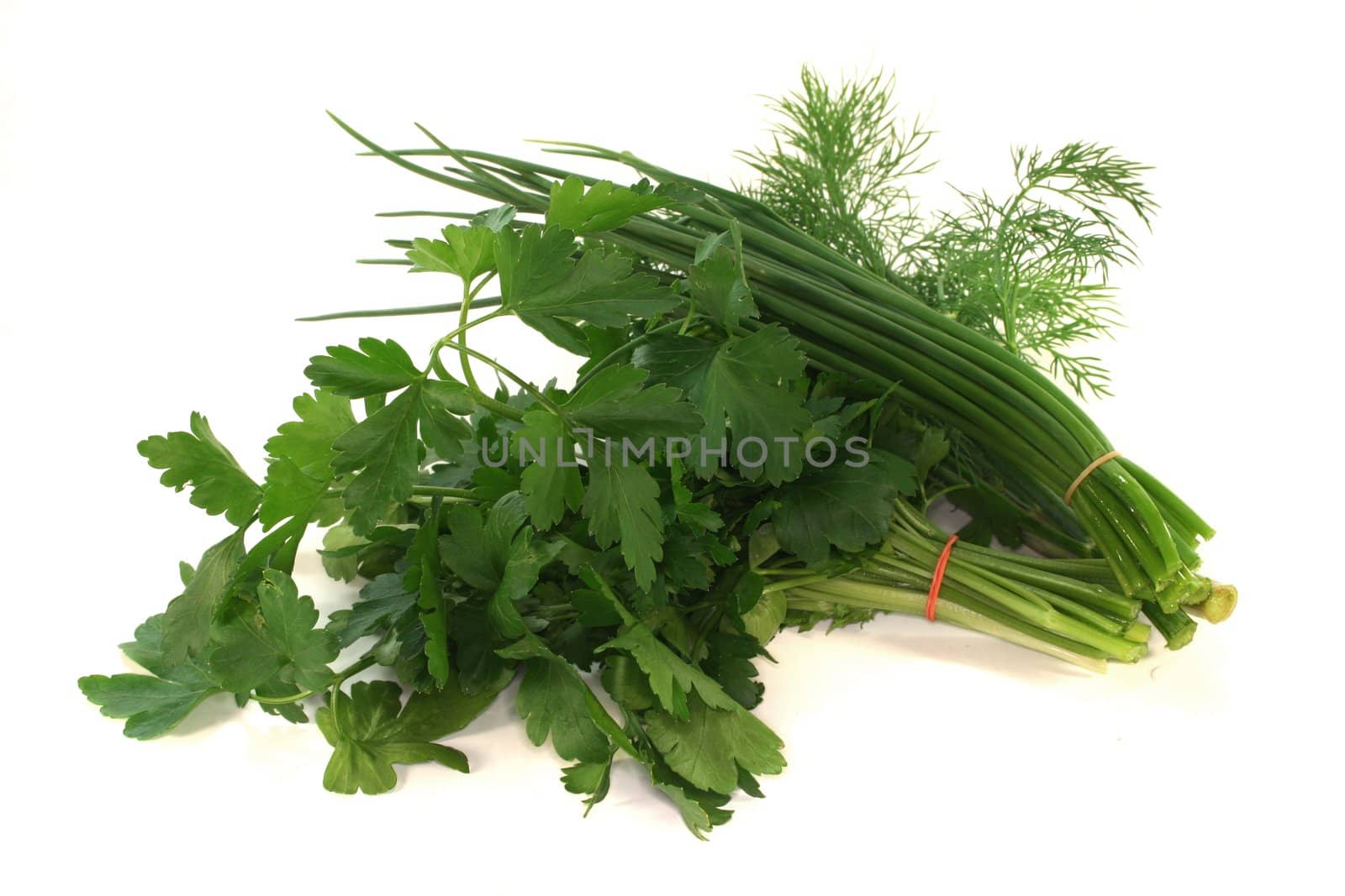 Dill, parsley and chives on a white background