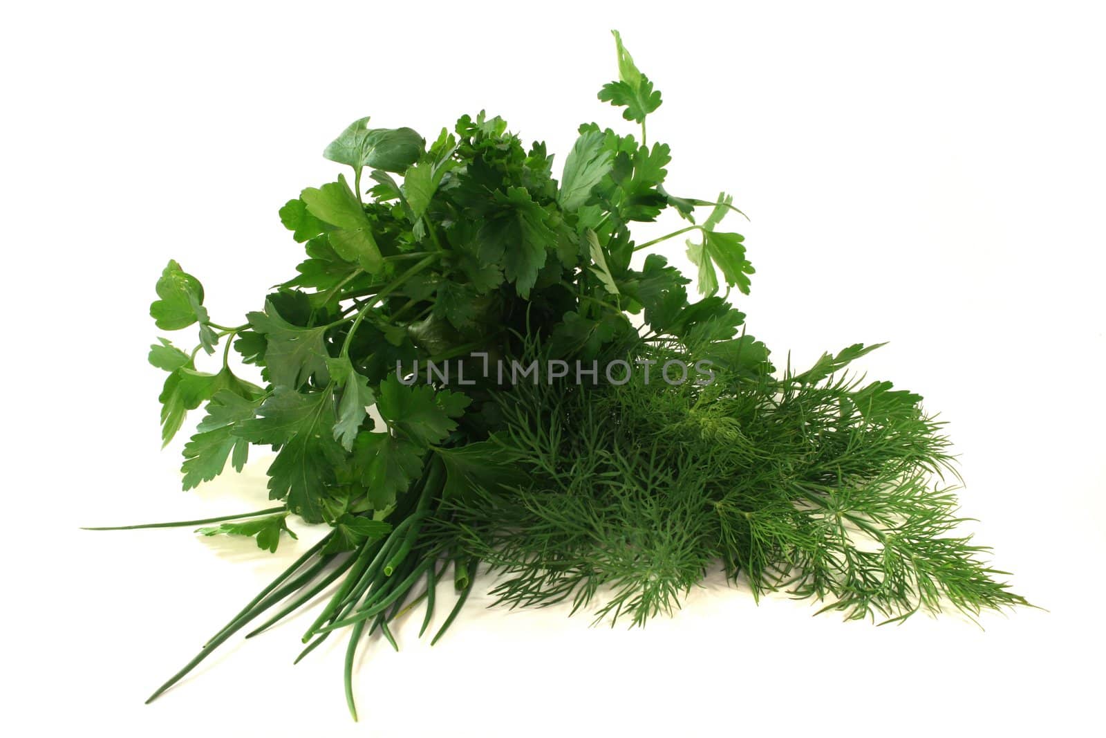Dill, parsley and chives on a white background