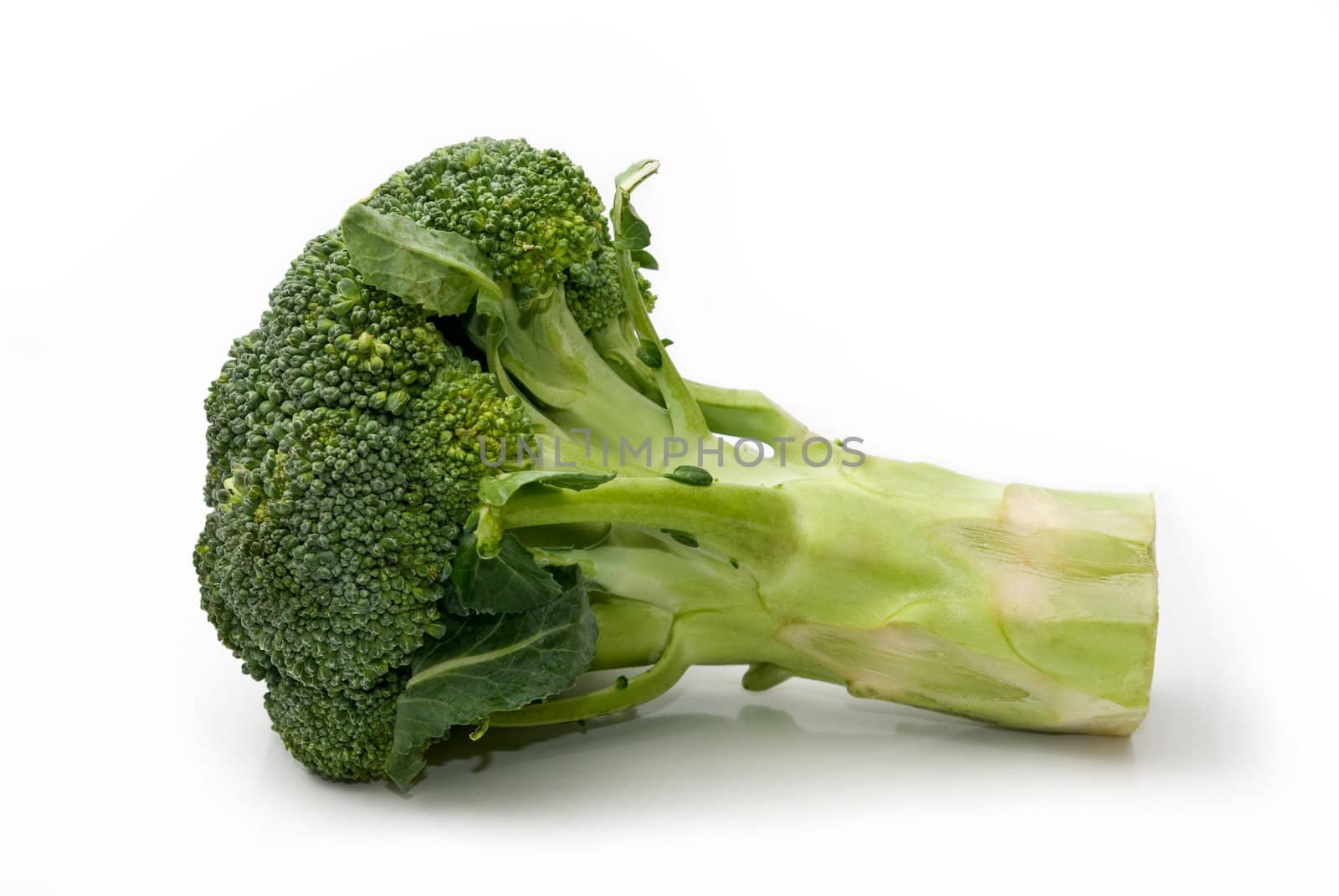 Green broccoli on white background, isolated